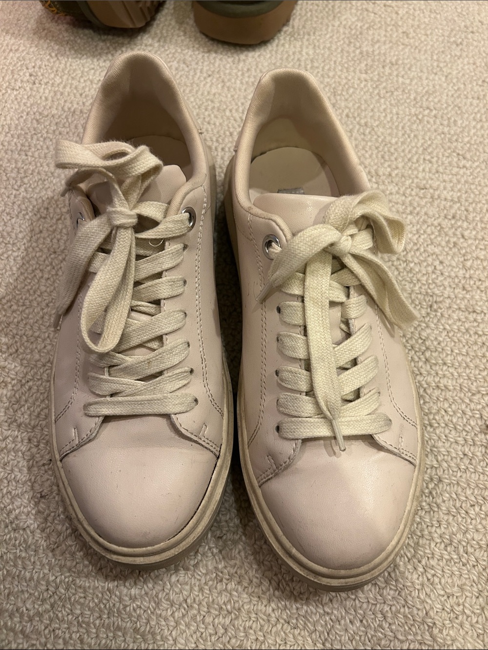 Steve Madden Women's Low-Top Sneakers in Beige
